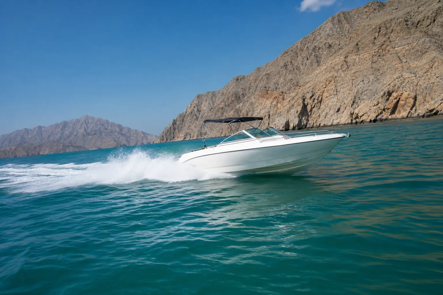 Speedboat Tours in Musandam: Dolphins at 30 Knots