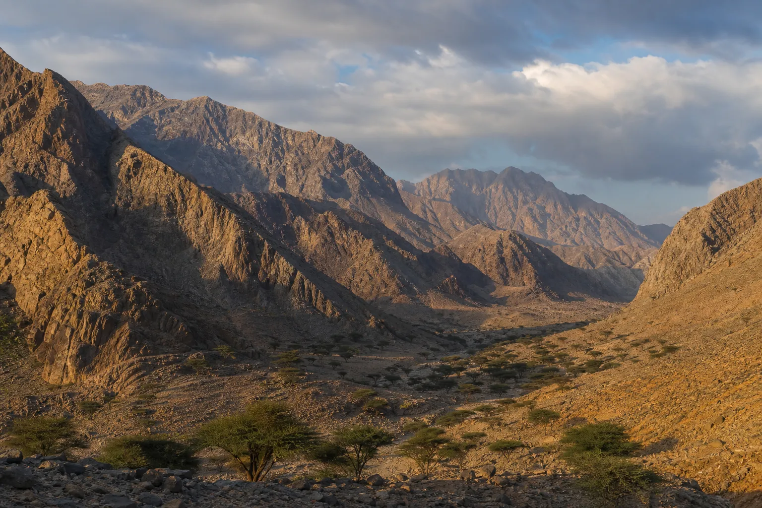 Mountain landscape