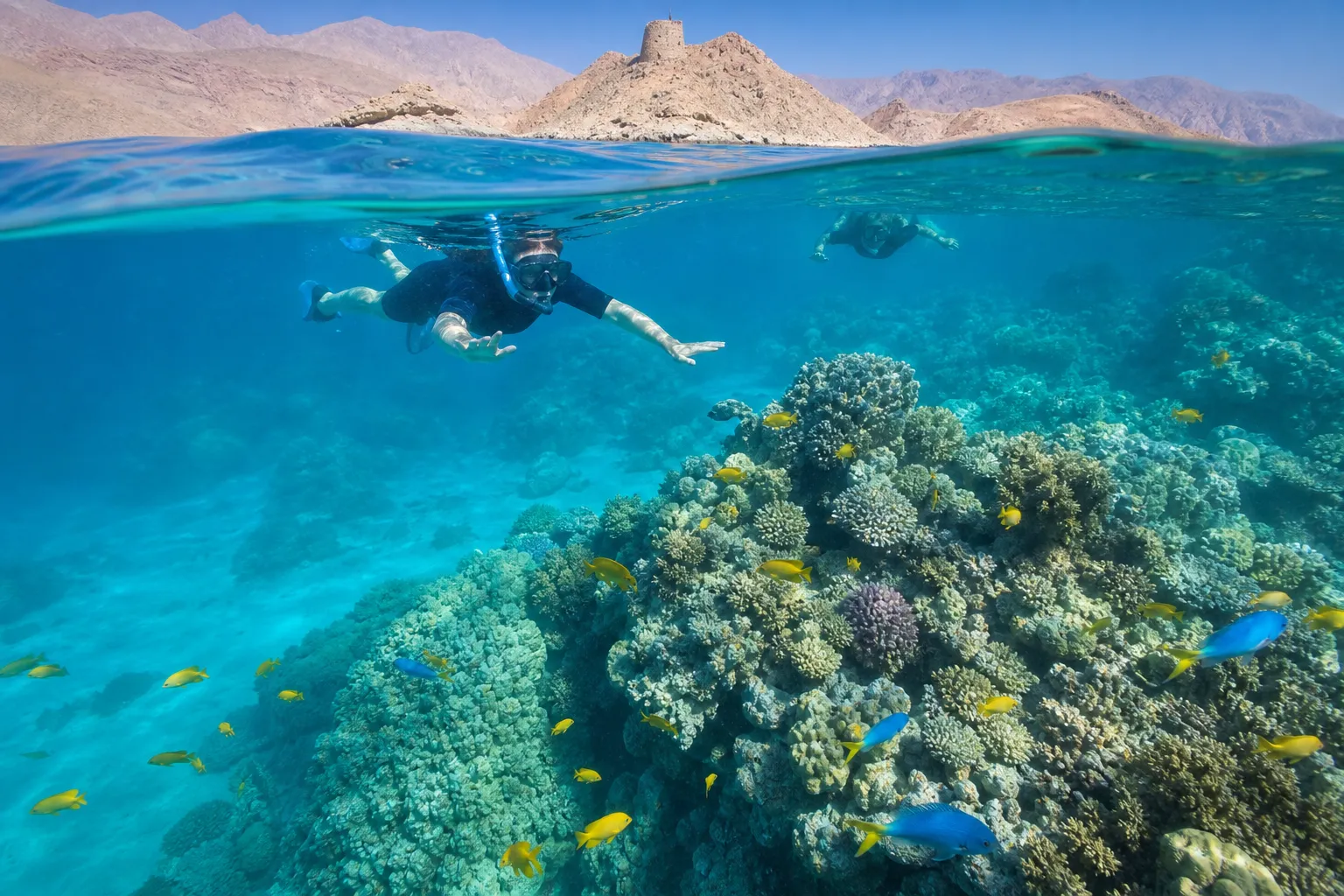 Telegraph Island Musandam