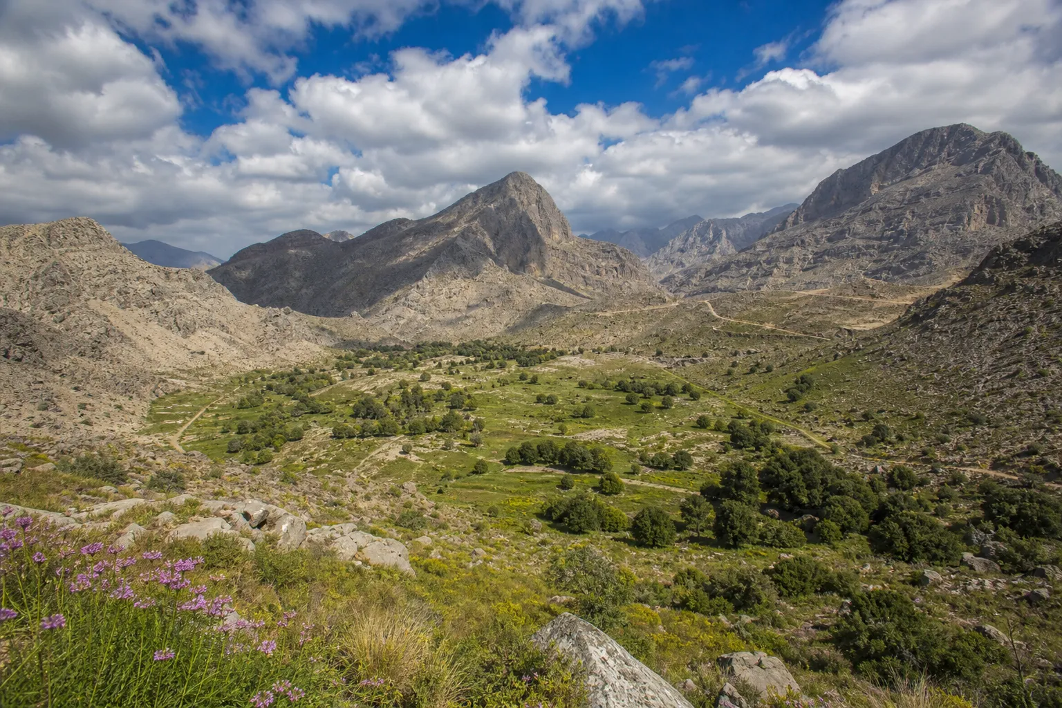 Khor Najd — Hidden Viewpoint